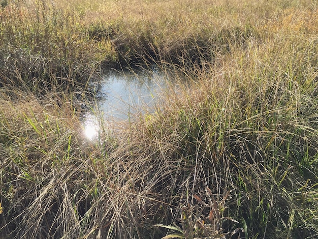 Volledige opname van water