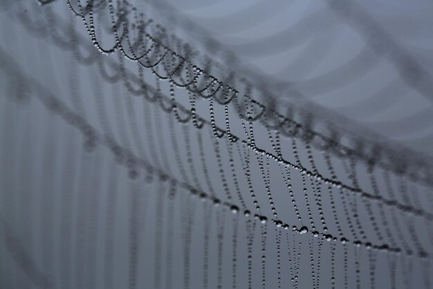 Volledige opname van waterdruppels op een spinnenweb