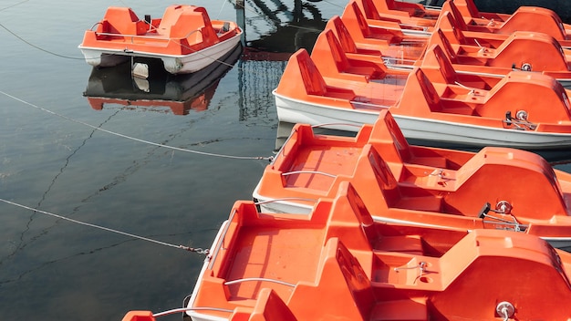 Volledige opname van zeilcatamaran in de baai