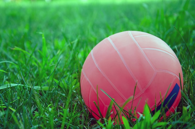 草の上に立っているバレーボールのボール。公園の緑のフィールドにバレーボールのボール
