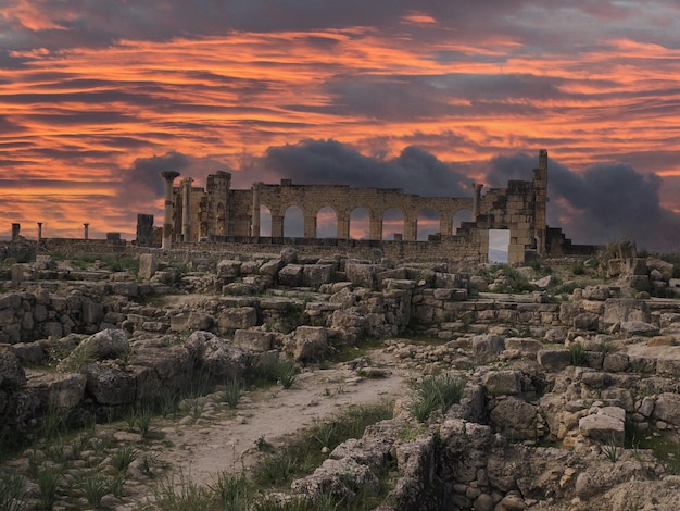 Photo volubilis roman ruins in morocco- best-preserved roman ruins located between the imperial cities of fez and meknes on a fertile plain surrounded by wheat fields.