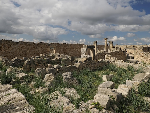 모로코의 볼루빌리스 로마 유적 - 제국 도시 페즈와 메크네스 사이에 위치한 가장 잘 보존된 로마 유적