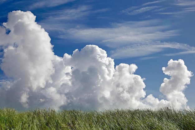 Volumetrische wolken in de blauwe lucht en het groene veldgras