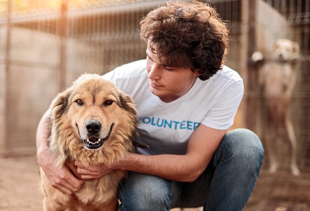 Photo volunteer taking care of dog in shelter