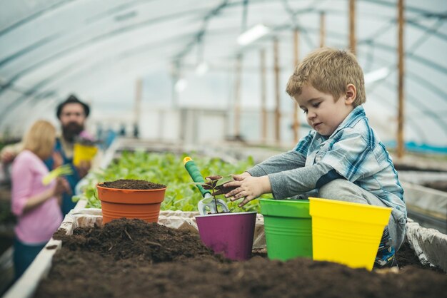 Volunteering by working in greenhouse volunteering and saving planet by growing plants volunteering people gethering for teamwork volunteering concept