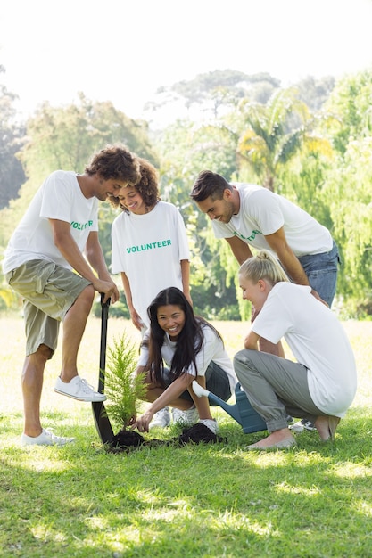 Volunteers planting 