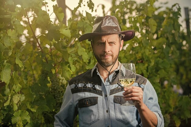 Volwassen enoloog man in hoed houdt wijnglas vast bij wijnmakerij buitensommelier