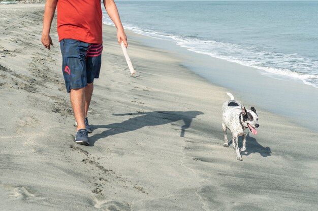 Volwassen mannetje in vrijetijdskleding met een hond op het strand