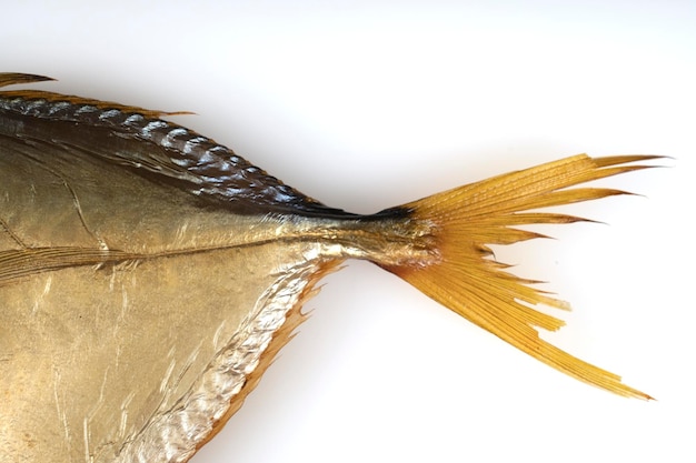 Vomer smoked fish on a white background