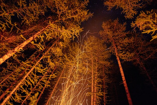 Vonken van een vreugdevuur nacht in het bos vliegen in de lucht. Vuur in het bos onder een sterrenhemel
