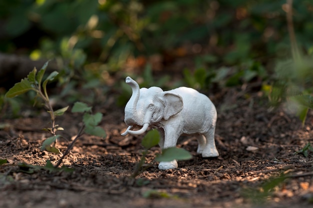 Foto vooraanzicht assortiment voor dierendag