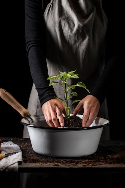 Foto vooraanzicht handen tuinplant