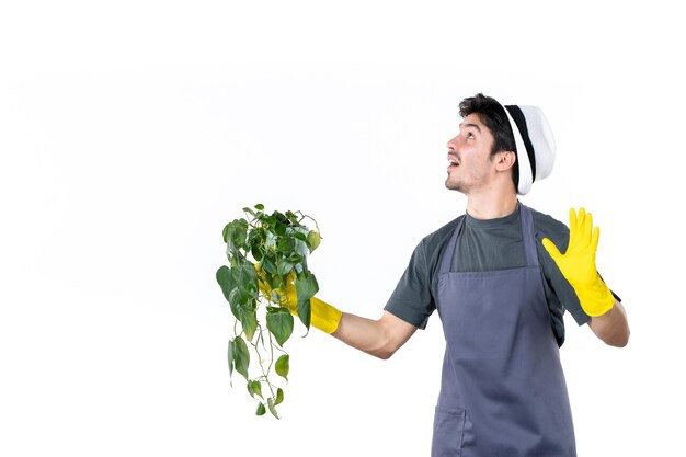 Vooraanzicht jonge man in gele handschoenen met plant op witte achtergrond gras boom grond groene tuin bloem kleur tuinman