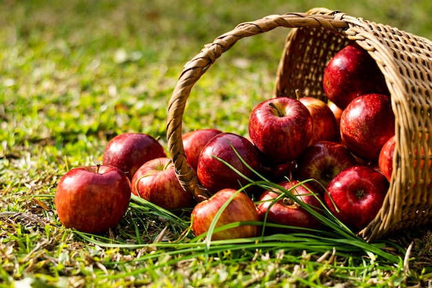 Foto vooraanzicht rode appels in stromand