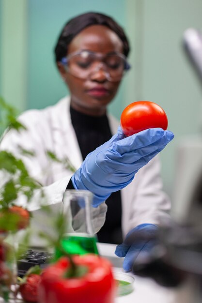 Vooraanzicht van bioloog-onderzoeker die tomaat analyseert die is geïnjecteerd met chemisch dna voor wetenschappelijk landbouwexperiment