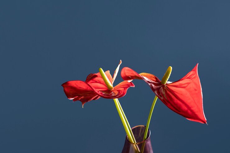 Vooraanzicht van bloem in een vaas