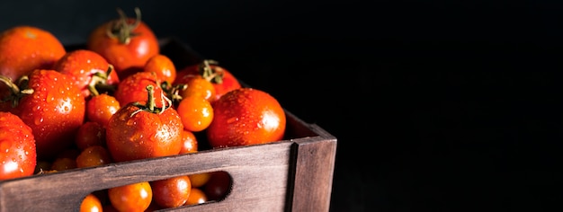 Foto vooraanzicht van mand met de herfsttomaten en exemplaarruimte