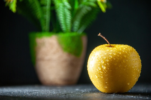 vooraanzicht verse gele appel met groene plant op donkere achtergrond mellow foto boom rijp peer fruit kleuren