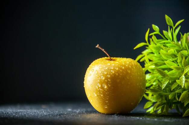 vooraanzicht verse gele appel met groene plant op donkere achtergrond zachte foto rijpe peer kleur bloem fruitboom