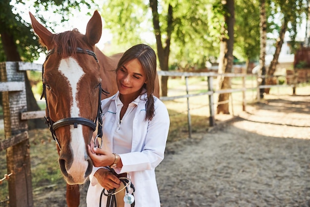 Vooraanzicht. Vrouwelijke dierenarts die overdag paard buiten op de boerderij onderzoekt.