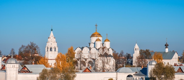 Voorbedekathedraal van Voorbede Pokrovsky-klooster in Suzdal, Rusland