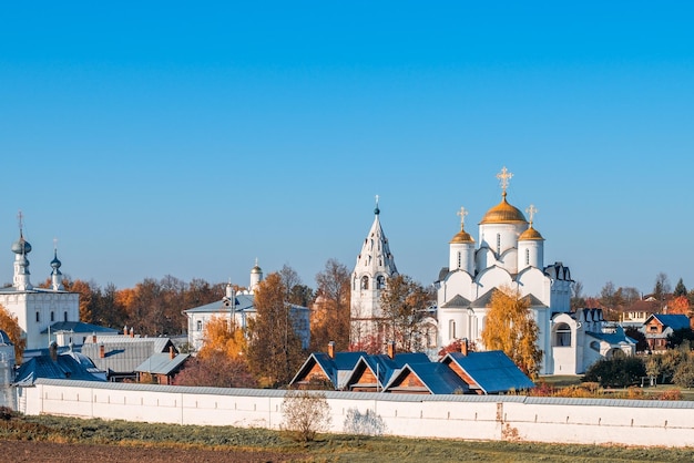 Voorbedekathedraal van Voorbede Pokrovsky-klooster in Suzdal, Rusland