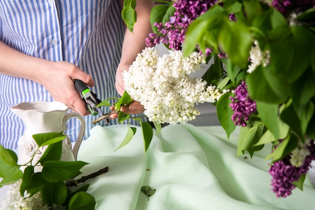 Voorbereiding, lila bloemen snijden in een vaas