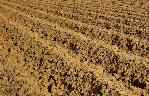 Voorbereiding van de grond voor de teelt