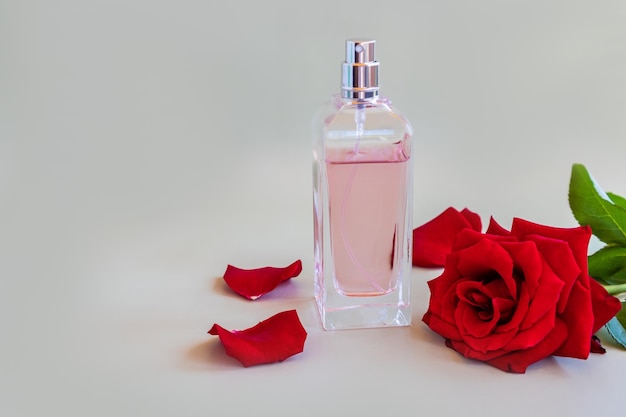 Voorgrond van een chique fles damesparfum met een frisse rode rozenpastelachtergrond een plek voor uw tekstaroma-presentatie