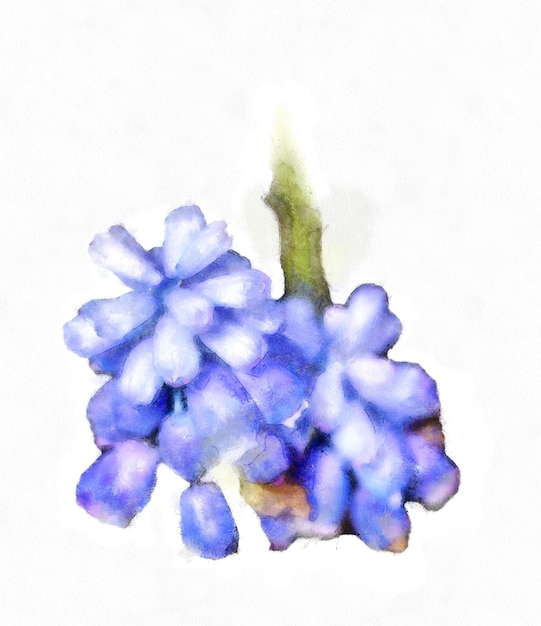 Voorjaarsblauwe bloem digitaal schilderij effect foto manipulatie