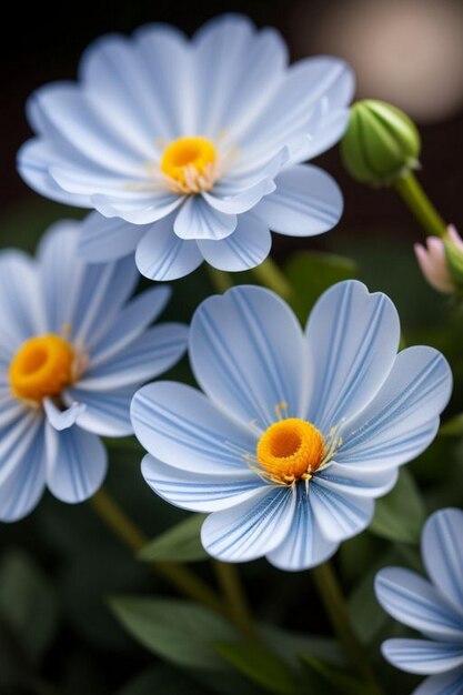 Foto voorjaarsbloemen illustratie