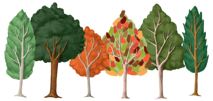 Foto voorjaarsbomen png sticker met de hand getekend