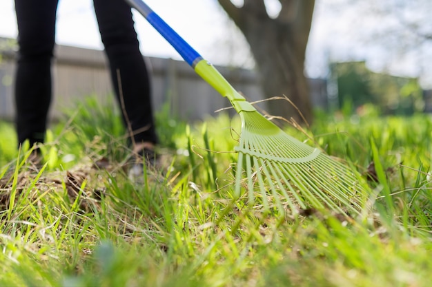 Voorjaarsschoonmaak in de tuin, close-uphark die groen gras schoonmaakt van droog gras en bladeren