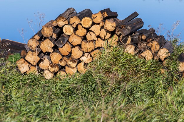 Voorraden brandhout voor de winterachtergrondtextuur