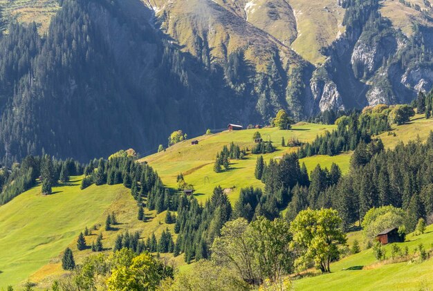 Vorarlberg in Austria