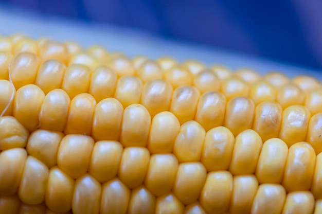 Vormen van met suikermaïs gekookte maïskorrels en popcorn