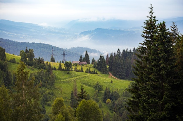 Vorokhta - Oekraïens landschap. uitzicht op de bergen in de Karpaten, Oekraïne