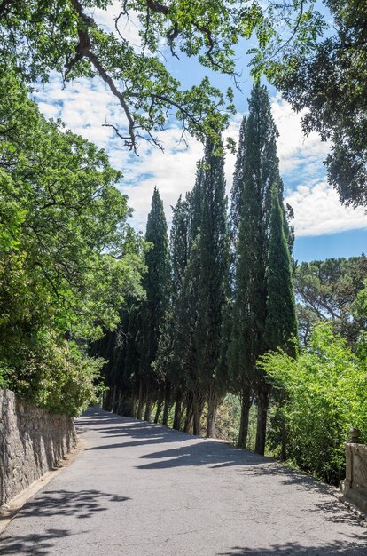 Foto sentiero pedonale del parco vorontsov