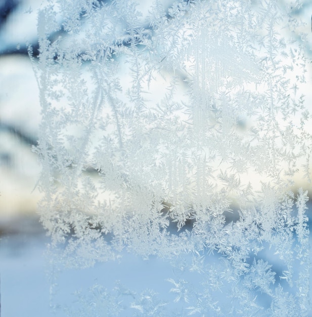 vorst op blauwe glazen achtergrond