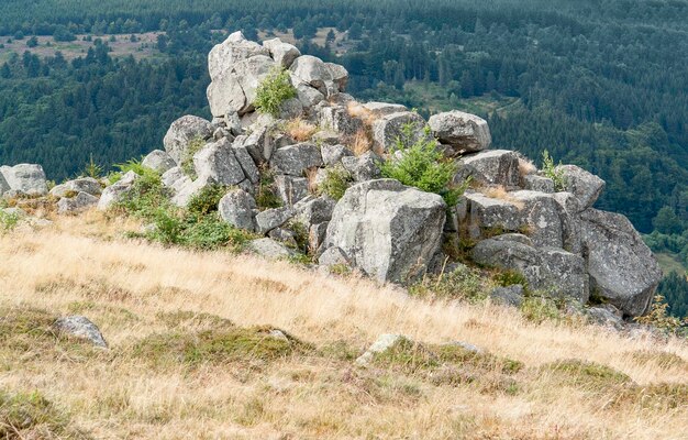 Vosges scenery