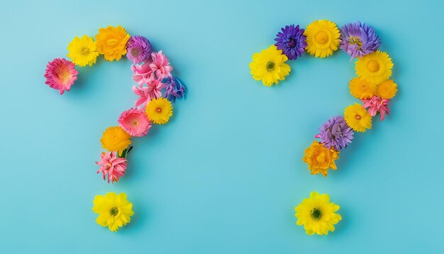 Vraagteken gemaakt van paardenbloemen op Flat lay op pastelblauwe achtergrond Lente