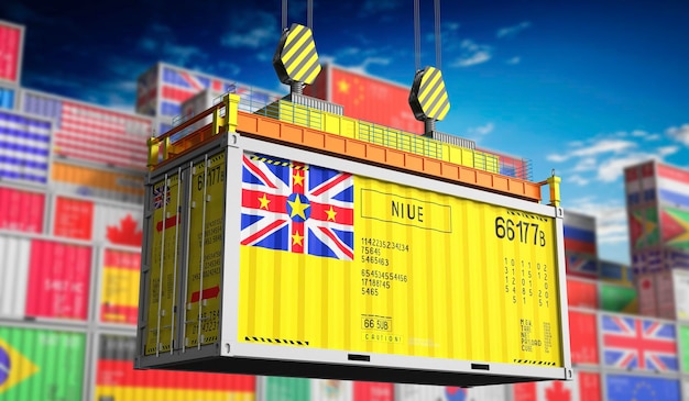 Vrachtcontainer met de nationale vlag van Niue 3D-illustratie