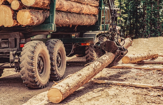 Vrachtwagen die hout in het bos laadt Het kappen van bomen het kappen van bos het gebied van het bos