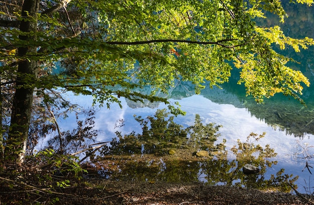 Vreedzaam bergmeer in de herfstalpen met helder transparant water en reflecties Langbathseen-meer Opper-Oostenrijk