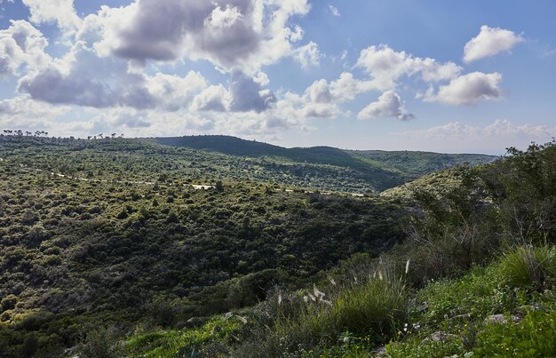 Vreedzame groene heuvels en bewolkte blauwe luchtlandschap met levendige kleuren