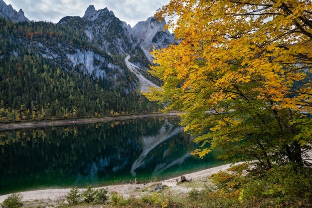 Vreedzame herfst alpen bergmeer met helder transparant water en reflecties gosauseen of vorderer gosausee meer opper-oostenrijk dachstein top en gletsjer in ver