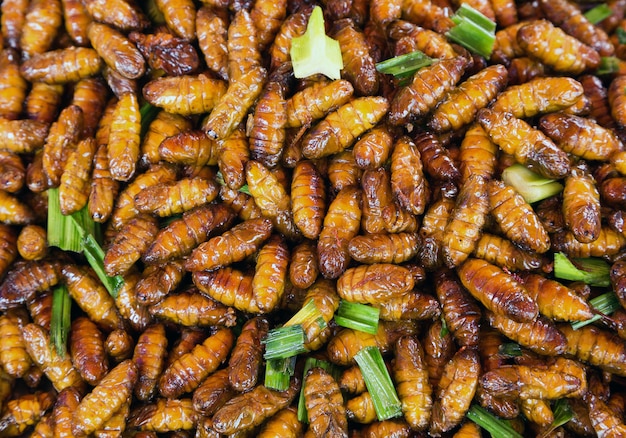 Vreemd insecten gefrituurd voedsel smaakt goed eten uit Thailand.