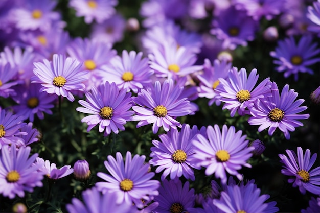 Vreugdevolle viering van de natuur Paarse bloemen