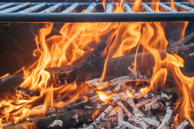 Vreugdevuur, hout en vuur in het kamp over de aard van de close-up