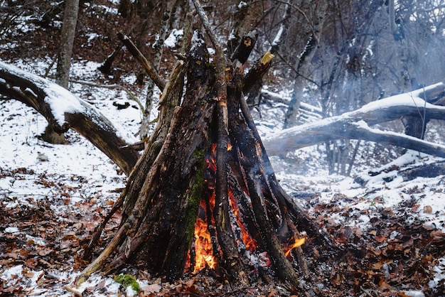 Vreugdevuur in het bos in de winter